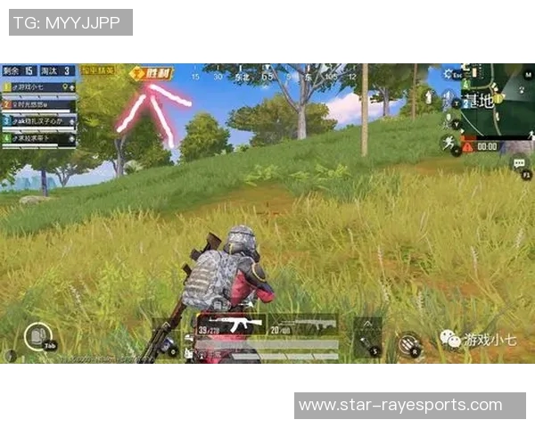 s15电竞黄秀英深度解析和平精英游戏策略与技巧分享